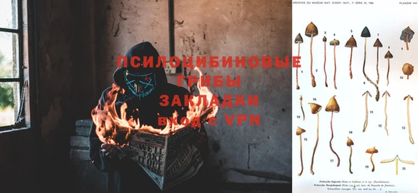 твердый Надым