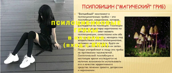 твердый Надым