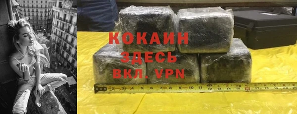 твердый Надым