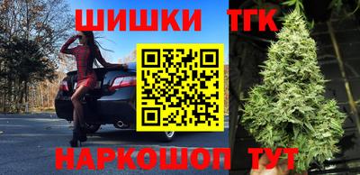 герыч Камышлов