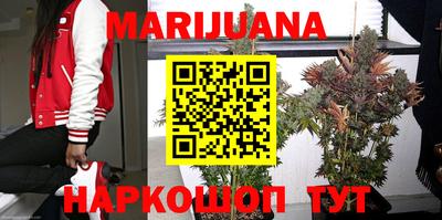 PSILOCYBIN Кандалакша