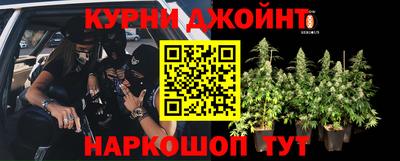 СК Канаш