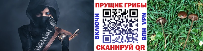 Галлюциногенные грибы GOLDEN TEACHER  даркнет сайт  МЕГА ССЫЛКА  Можга 