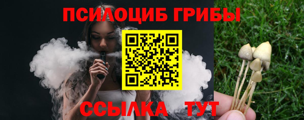 Можга  Псилоцибиновые грибы прущие грибы  Вход с VPN 